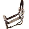 Tory Leather Blue Bonnet Congress Halter And Lead -Equestrian Supplie Store 125bluebonnetcongress 65299 23251.1527308810