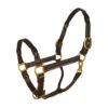 Perri's Twisted Leather Halter -Equestrian Supplie Store 146htwistedhalterhavana 08148 25317.1564434620