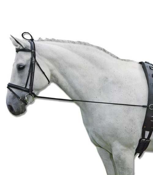 Waldhausen Elastic Neck Stretcher 3 Waldhausen Elastic Neck Stretcher