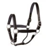 Perri's Padded Leather Halter -Equestrian Supplie Store 190 blk black ss l 36512 32306.1527306333
