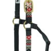 Weaver Leather Weaver Aztec Nylon Halter 1 Weaver Leather Weaver Aztec Nylon Halter -Equestrian Supplie Store 356781p22 weaver aztec halter crimson 79904.1544297786
