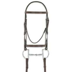 Pessoa PRO Fancy Stitched Raised Bridle -Equestrian Supplie Store 470460 pessoa pro fs raised bridle dk brn 79296.1586552586