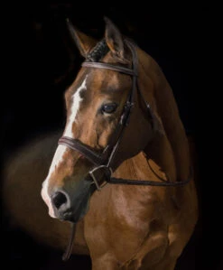 Pessoa PRO Fancy Stitched Wide Bridle -Equestrian Supplie Store 470461 pessoa pro wide fs bridle dk brown horse 01089.1586553051