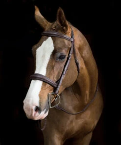 Pessoa PRO Fancy Stitched Tapered Bridle -Equestrian Supplie Store 470462 pessoa pro fs taper bridl dk brn horse 81669.1669487583