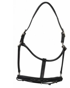 HDR Pony Fancy Padded Leather Halter -Equestrian Supplie Store 5019halterblack 80901 35602.1618602106