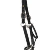 HDR Pony Fancy Padded Leather Halter -Equestrian Supplie Store 5019halterblackside 22829 81250.1618602103