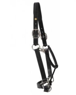 HDR Pony Fancy Padded Leather Halter