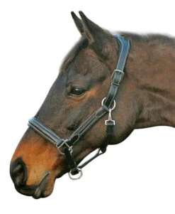 HDR Stress-Free Shaped Crown Halter -Equestrian Supplie Store 5218 black 27864 26881.1527298209