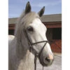 Nunn Finer Rubber Figure 8 Cavesson Noseband -Equestrian Supplie Store 632 Rubber Figure 8 63168.1601489633