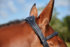 Collegiate ComfiTec Training Bridle -Equestrian Supplie Store 811145 ComfiTec Training Crown Side 34390.1588094697