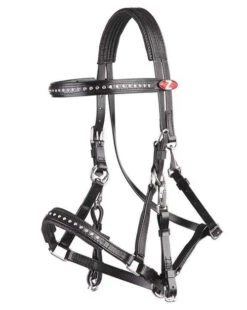 Zilco Bling Marathon Bridle