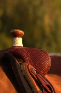Circle Y Barton Select Rancher Saddle
