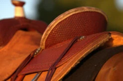 Circle Y Barton Select Rancher Saddle -Equestrian Supplie Store Barton Ranch Rear Skirting 15051.1600205555