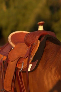 Circle Y Barton Select Rancher Saddle -Equestrian Supplie Store Barton Ranch Right 36019.1600205566