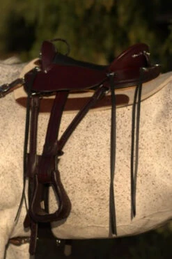 Circle Y Julie Goodnight Cascade Crossover Trail Saddle 1753 -Equestrian Supplie Store Cascade Left Side 39422.1600203383