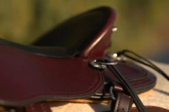 Circle Y Julie Goodnight Cascade Crossover Trail Saddle 1753 -Equestrian Supplie Store Cascade Skirt 05106.1600203438