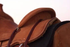 Circle Y Comal All Around Saddle 9 Circle Y Comal All Around Saddle -Equestrian Supplie Store Comal All Around Skirt 42444.1600205963