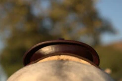 High Horse Daisetta Cordura Trail Saddle By Circle Y -Equestrian Supplie Store Daisetta Cantle Rear 57003.1600204651