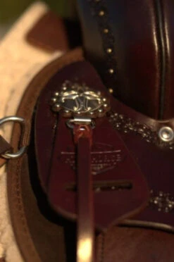 High Horse Daisetta Cordura Trail Saddle By Circle Y -Equestrian Supplie Store Daisetta Concho 80022.1600204641