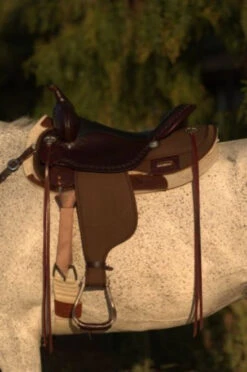 High Horse Daisetta Cordura Trail Saddle By Circle Y -Equestrian Supplie Store Daisetta Left 05467.1600204671