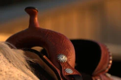 Circle Y Fischer Daisy Treeless Barrel Saddle -Equestrian Supplie Store Fischer Treeless Pommel 57229.1600204893