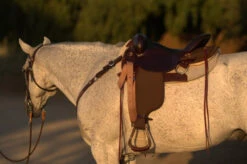 High Horse Highbank Endurance Saddle By Circle Y 10 High Horse Highbank Endurance Saddle By Circle Y -Equestrian Supplie Store HH Highback Left Profile on a horse 30277.1600209479