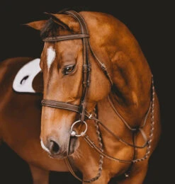 Arion Fancy Stitch Hunter Bridle -Equestrian Supplie Store Hunter Bridle with Fancy Stitching brown horse crop BR5H arion 95254.1681670675
