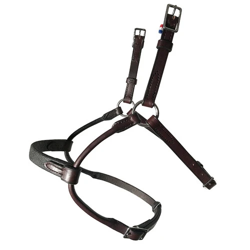 In Horse We Trust Infinity Noseband 3 In Horse We Trust Infinity Noseband