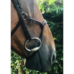 In Horse We Trust Infinity Noseband 8 In Horse We Trust Infinity Noseband -Equestrian Supplie Store Infinity noseband havana horse IHWT 65969.1609287135