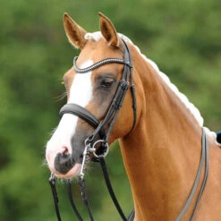 PASSIERBLU Dream Double Bridle -Equestrian Supplie Store PASSIERBLU Dream Double Bridle lifestyle 01457.1686415272