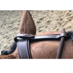 Jump'in Patrick Training Aid 7 Jump'in Patrick Training Aid -Equestrian Supplie Store Patrick Training Aid havana poll jumpin 64436.1645560092