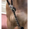 Jump'in Patrick Training Aid -Equestrian Supplie Store Patrick Training Aid havana strap rings jumpin 56451.1645560084