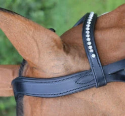 KL Italia Prix Snaffle Bridle -Equestrian Supplie Store Prix dressage bridle crown detail 09276.1607478291