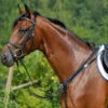 Stubben Wide Elastic Breastplate With Running Attachment -Equestrian Supplie Store STU 10704 ElasticRunningBreastplate 88586.1558039998