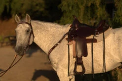 Circle Y Salt River Flex2 Trail Saddle 1667 -Equestrian Supplie Store Salt River Left Profile on a horse 71261.1600203852