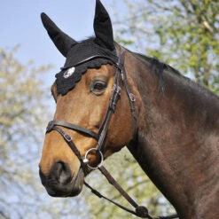In Horse We Trust Bridle Evolution -Equestrian Supplie Store Soft T 4 Evolution on Horse ANGLE 13975.1589307265