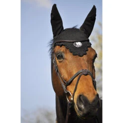 In Horse We Trust Bridle Evolution -Equestrian Supplie Store Soft T Evolution on Horse FRONT 75545.1589307280