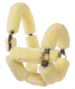 Ovation Sheepskin Pony Shipping Halter -Equestrian Supplie Store aaaaaaaerk 03486 25746.1527309291