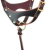 Perri's Grow-With-Me Foal Halter -Equestrian Supplie Store aaaaaaaksr 70825 70698.1527301804