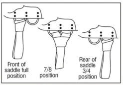 Circle Y Walnut Grove A Fork Flex2 Trail Saddle 1157 15 Circle Y Walnut Grove A Fork Flex2 Trail Saddle 1157 -Equestrian Supplie Store aaaaaaaxhgimage5 54216 62406.1537223555