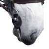 Acavallo Gel Bit Guards -Equestrian Supplie Store ac9 acavallo gel bit guard black 03669.1594342119