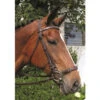 Nunn Finer Adjustable Lever Noseband -Equestrian Supplie Store adjustable lever noseband nunn finer 79043.1587245295