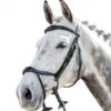 Prestige FS Anatomic Drop Noseband Bridle -Equestrian Supplie Store anatomic drop nose bridle fs black E143 prestige 09590.1568912998