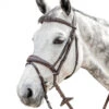 Prestige FS Anatomic Bridle With Flash -Equestrian Supplie Store anatomic flash bridle fs tobacco E141 prestige 62090.1568914769