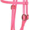 Berlin Beta Biothane Browband Headstall -Equestrian Supplie Store apizavu2g 63387 56161.1527297811