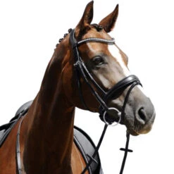 Passier Atlas Snaffle Bridle -Equestrian Supplie Store atlas snaffle bridle horse 820 passier 06263.1690300481