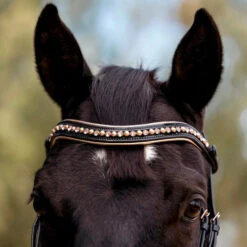 Halter Ego Aurelia Rose Gold Snaffle Bridle