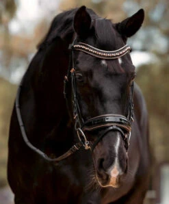 Halter Ego Aurelia Rose Gold Snaffle Bridle -Equestrian Supplie Store aurelia rose gold snaffle bk.pt rsgd front AURELIA SNAFFLE FULL halter ego 79573.1682705558