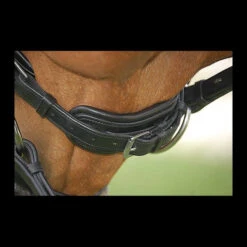 Dy'on Large Crank Noseband Snaffle Bridle -Equestrian Supplie Store b152chincloseup 25897 37669.1617485047