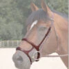 Dy'on Double Noseband -Equestrian Supplie Store b6117 60041 71485.1527288351